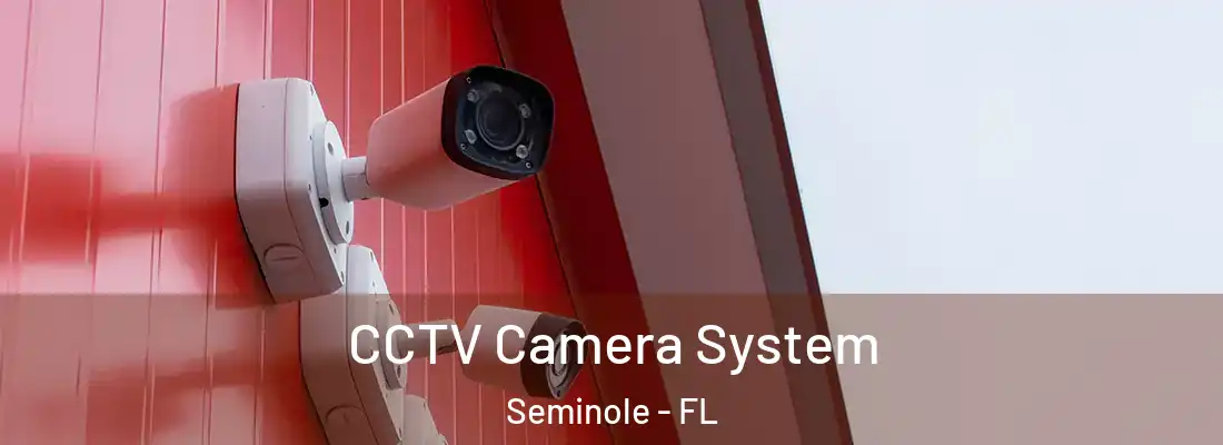 CCTV Camera System Seminole - FL