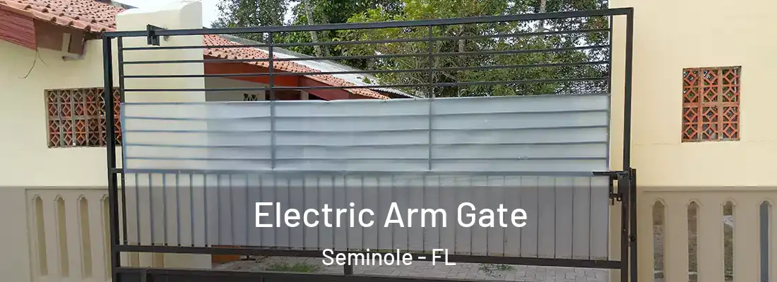  Electric Arm Gate Seminole - FL