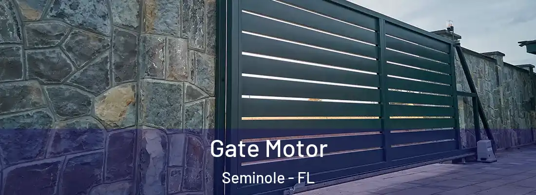 Gate Motor Seminole - FL