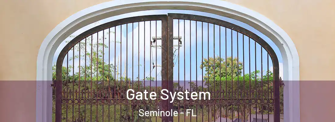 Gate System Seminole - FL