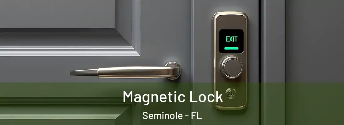 Magnetic Lock Seminole - FL