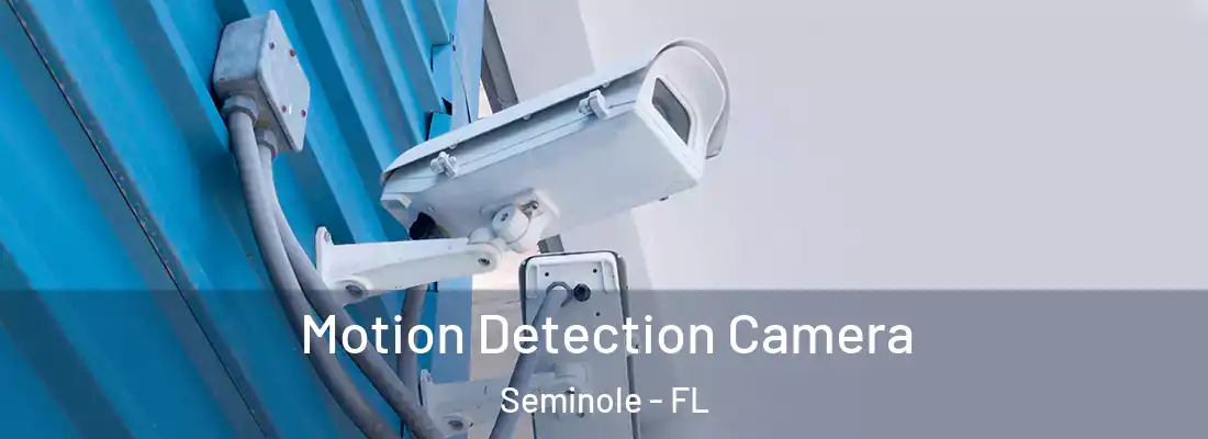 Motion Detection Camera Seminole - FL