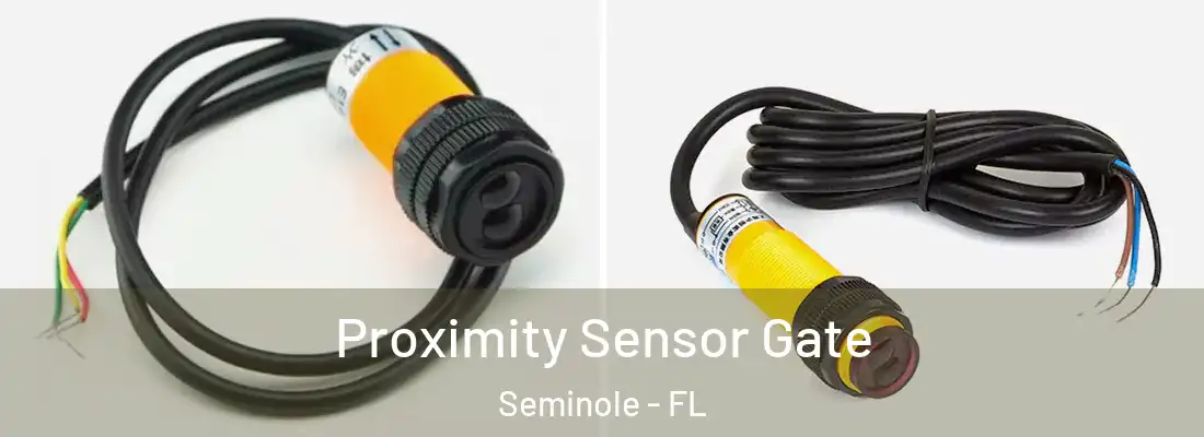  Proximity Sensor Gate Seminole - FL